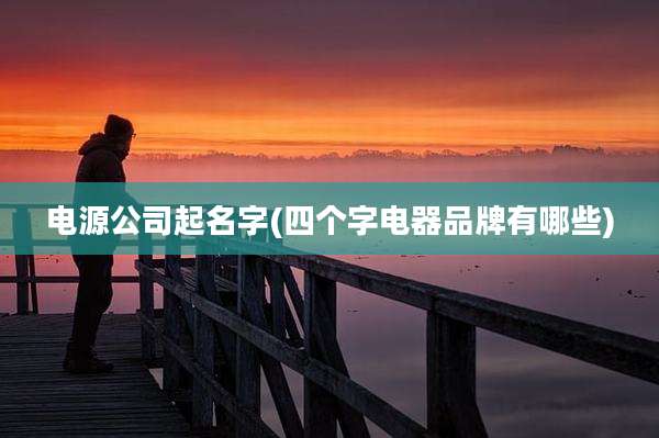 电源公司起名字(四个字电器品牌有哪些)