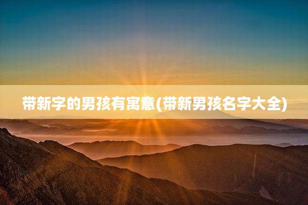 带新字的男孩有寓意(带新男孩名字大全)