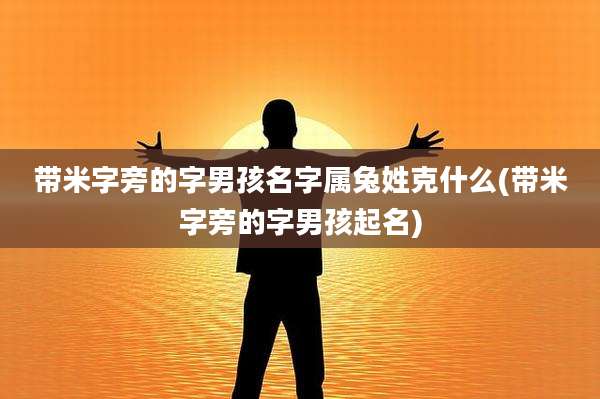 带米字旁的字男孩名字属兔姓克什么(带米字旁的字男孩起名)