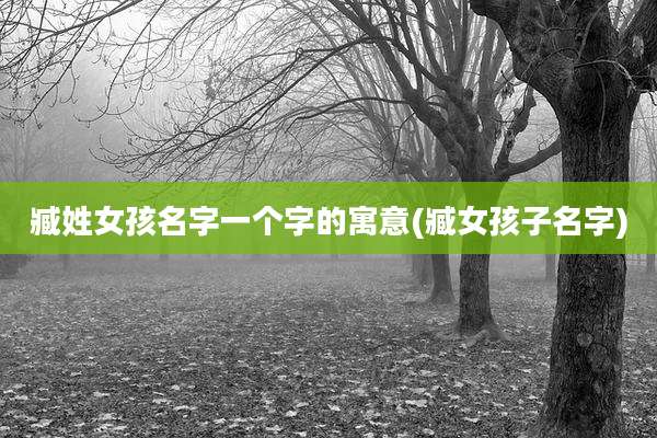 臧姓女孩名字一个字的寓意(臧女孩子名字)