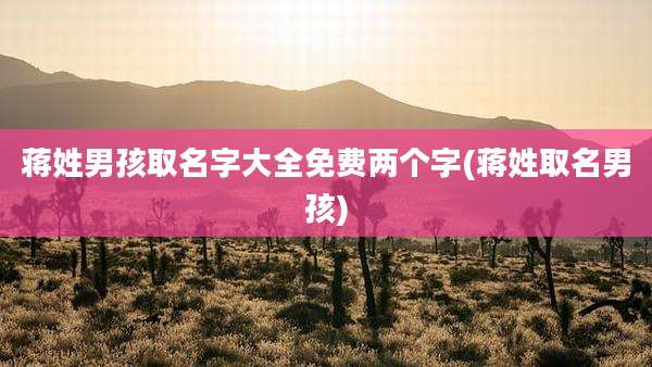 蒋姓男孩取名字大全免费两个字(蒋姓取名男孩)