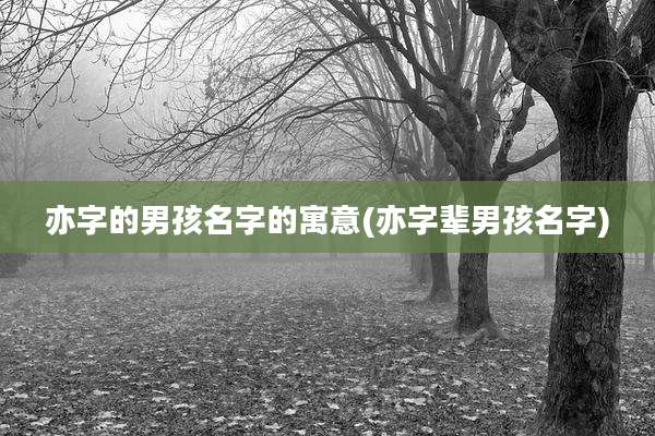 亦字的男孩名字的寓意(亦字辈男孩名字)