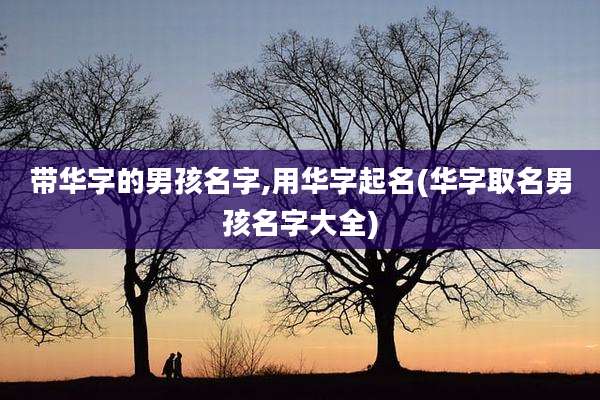 带华字的男孩名字,用华字起名(华字取名男孩名字大全)