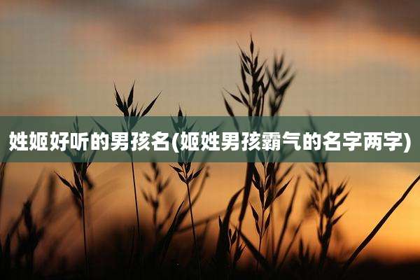 姓姬好听的男孩名(姬姓男孩霸气的名字两字)