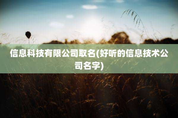 信息科技有限公司取名(好听的信息技术公司名字)