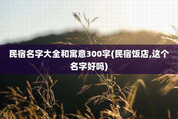 民宿名字大全和寓意300字(民宿饭店,这个名字好吗)