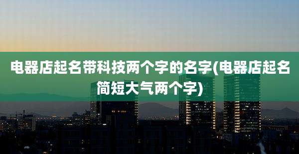 电器店起名带科技两个字的名字(电器店起名简短大气两个字)