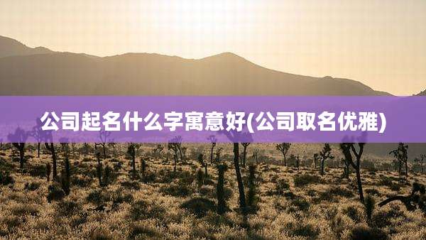 公司起名什么字寓意好(公司取名优雅)