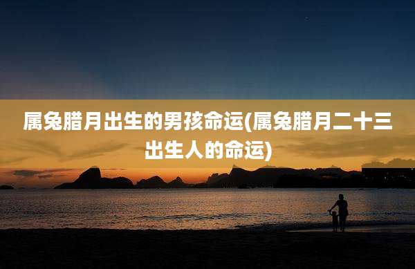 属兔腊月出生的男孩命运(属兔腊月二十三出生人的命运)
