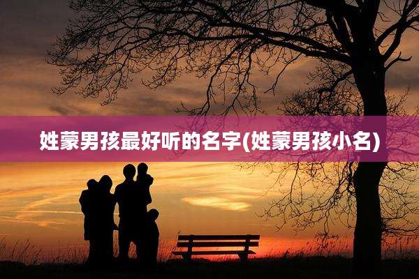 姓蒙男孩最好听的名字(姓蒙男孩小名)