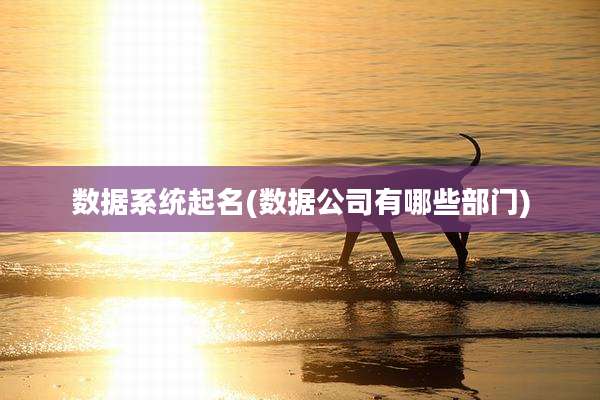 数据系统起名(数据公司有哪些部门)