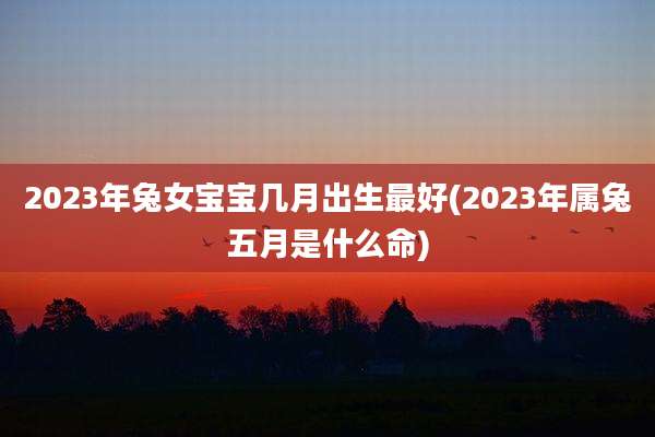 2023年兔女宝宝几月出生最好(2023年属兔五月是什么命)
