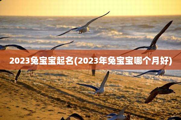 2023兔宝宝起名(2023年兔宝宝哪个月好)