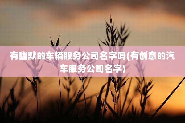 有幽默的车辆服务公司名字吗(有创意的汽车服务公司名字)