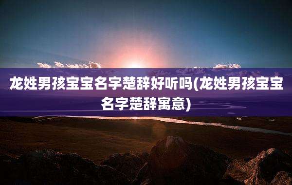 龙姓男孩宝宝名字楚辞好听吗(龙姓男孩宝宝名字楚辞寓意)