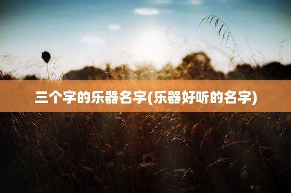 三个字的乐器名字(乐器好听的名字)