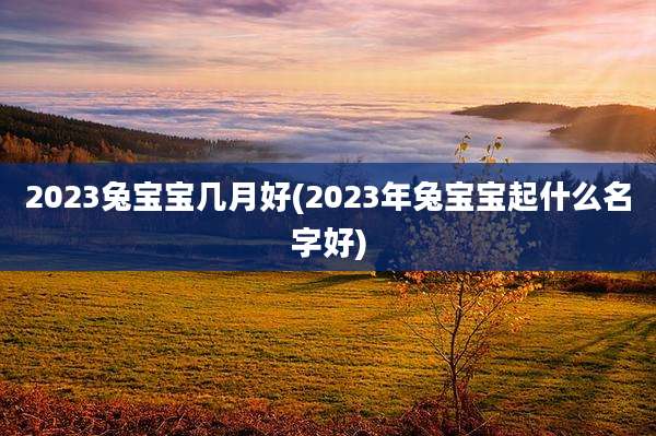 2023兔宝宝几月好(2023年兔宝宝起什么名字好)