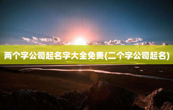 两个字公司起名字大全免费(二个字公司起名)