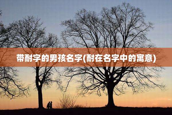 带耐字的男孩名字(耐在名字中的寓意)