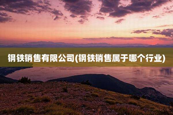 钢铁销售有限公司(钢铁销售属于哪个行业)