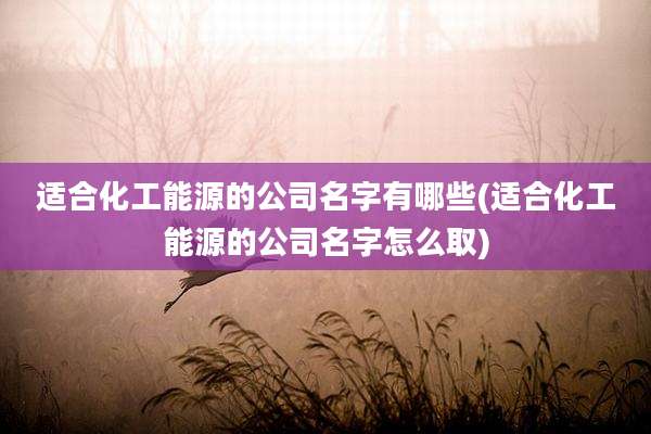 适合化工能源的公司名字有哪些(适合化工能源的公司名字怎么取)