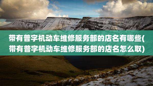 带有普字机动车维修服务部的店名有哪些(带有普字机动车维修服务部的店名怎么取)