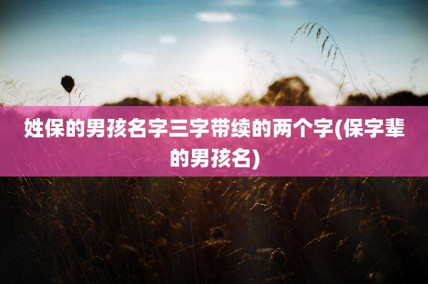 姓保的男孩名字三字带续的两个字(保字辈的男孩名)