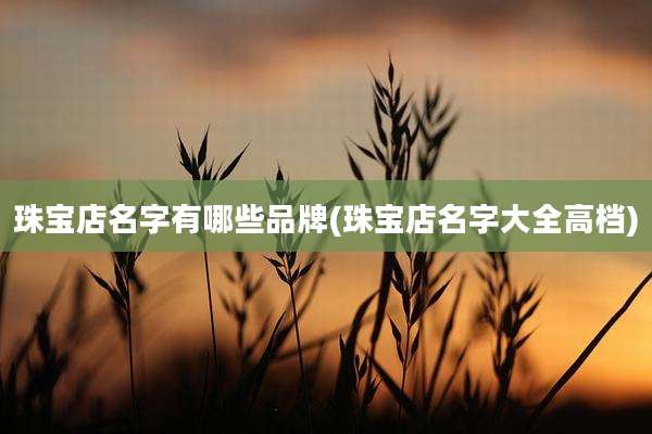 珠宝店名字有哪些品牌(珠宝店名字大全高档)