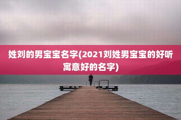 姓刘的男宝宝名字(2021刘姓男宝宝的好听寓意好的名字)