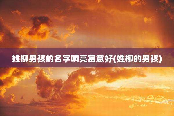 姓柳男孩的名字响亮寓意好(姓柳的男孩)