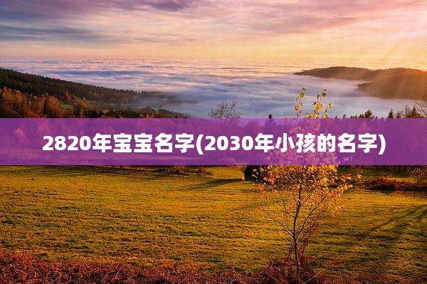 2820年宝宝名字(2030年小孩的名字)