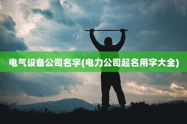 电气设备公司名字(电力公司起名用字大全)