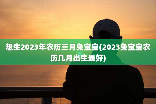 想生2023年农历三月兔宝宝(2023兔宝宝农历几月出生最好)