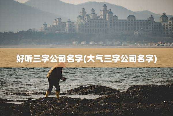 好听三字公司名字(大气三字公司名字)