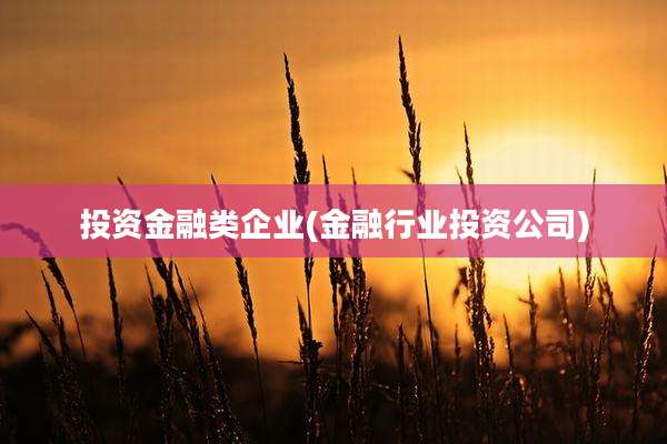 投资金融类企业(金融行业投资公司)