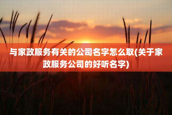 与家政服务有关的公司名字怎么取(关于家政服务公司的好听名字)