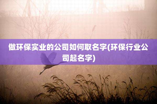 做环保实业的公司如何取名字(环保行业公司起名字)