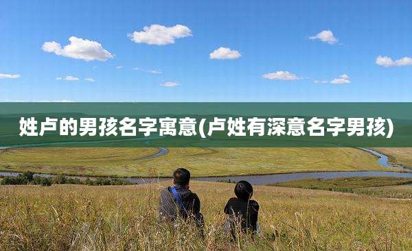 姓卢的男孩名字寓意(卢姓有深意名字男孩)