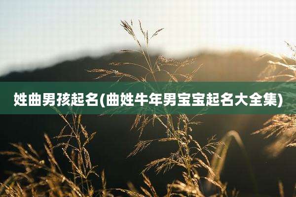 姓曲男孩起名(曲姓牛年男宝宝起名大全集)