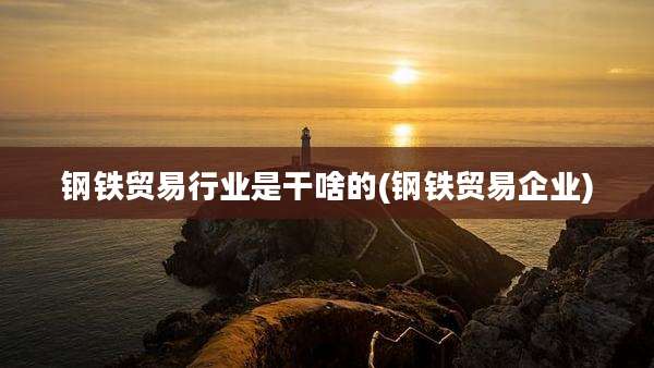 钢铁贸易行业是干啥的(钢铁贸易企业)