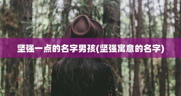 坚强一点的名字男孩(坚强寓意的名字)