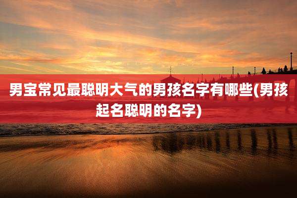 男宝常见最聪明大气的男孩名字有哪些(男孩起名聪明的名字)