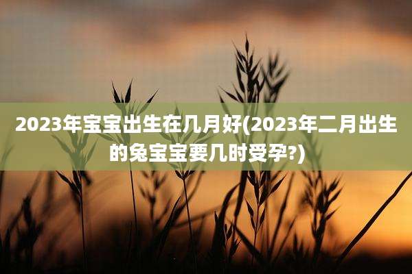 2023年宝宝出生在几月好(2023年二月出生的兔宝宝要几时受孕?)