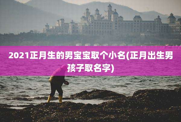 2021正月生的男宝宝取个小名(正月出生男孩子取名字)