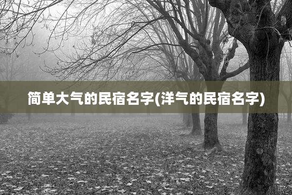 简单大气的民宿名字(洋气的民宿名字)