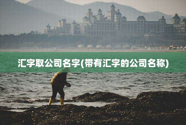 汇字取公司名字(带有汇字的公司名称)
