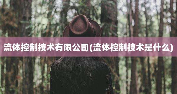 流体控制技术有限公司(流体控制技术是什么)