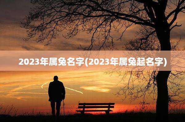 2023年属兔名字(2023年属兔起名字)