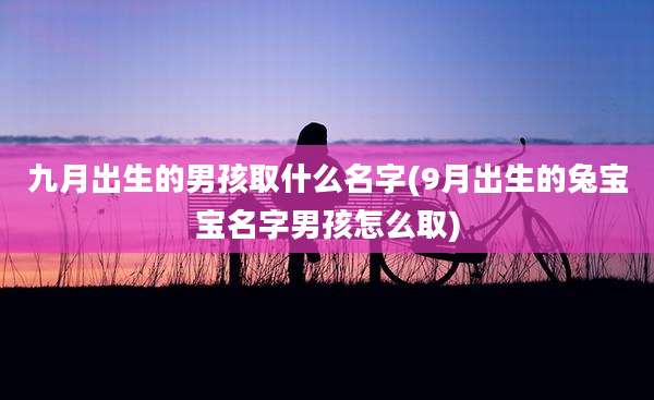 九月出生的男孩取什么名字(9月出生的兔宝宝名字男孩怎么取)