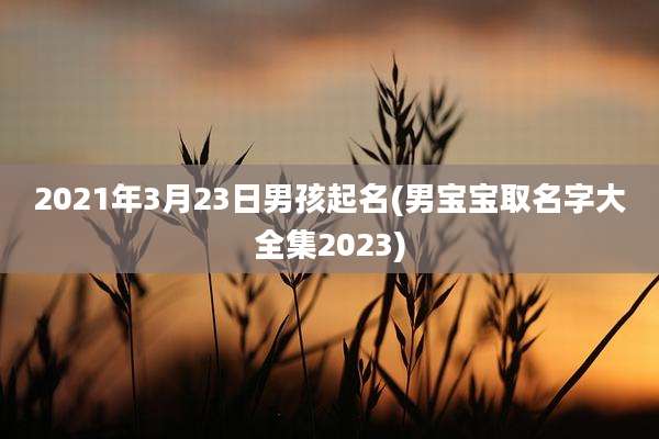 2021年3月23日男孩起名(男宝宝取名字大全集2023)